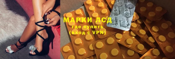 твердый Арсеньев