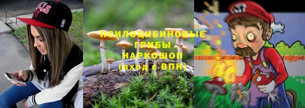 дживик Армянск
