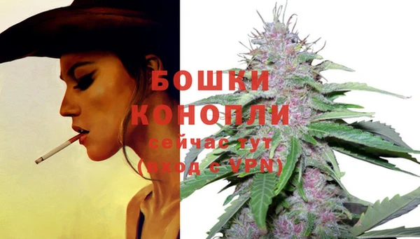 винт Балахна