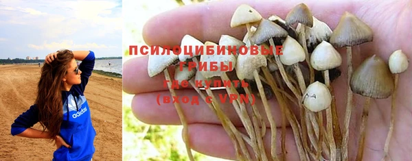 твердый Арсеньев